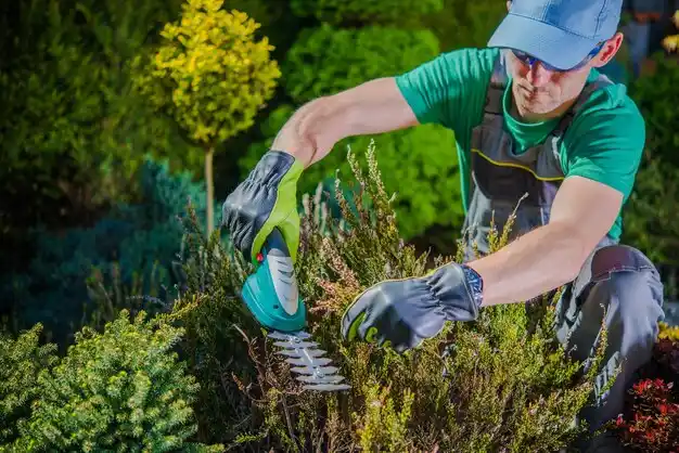 landscaping services Williamsville